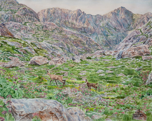 Serenity in Mercantour - Greeting card