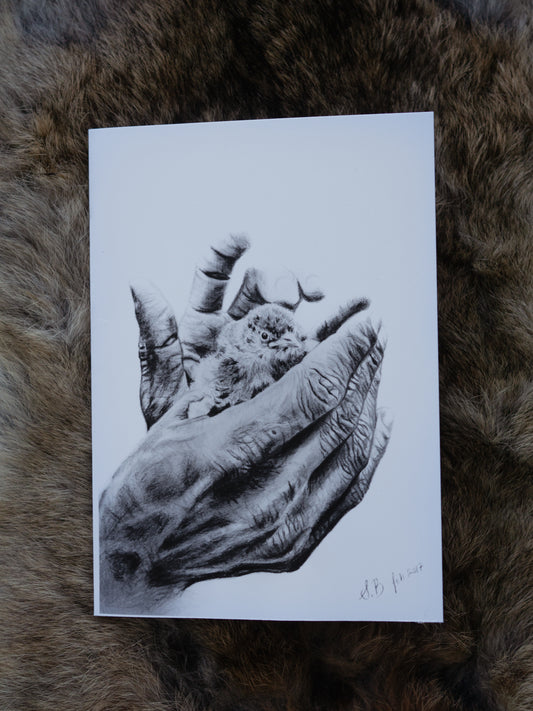 Hand drawings - Greeting card set of 4