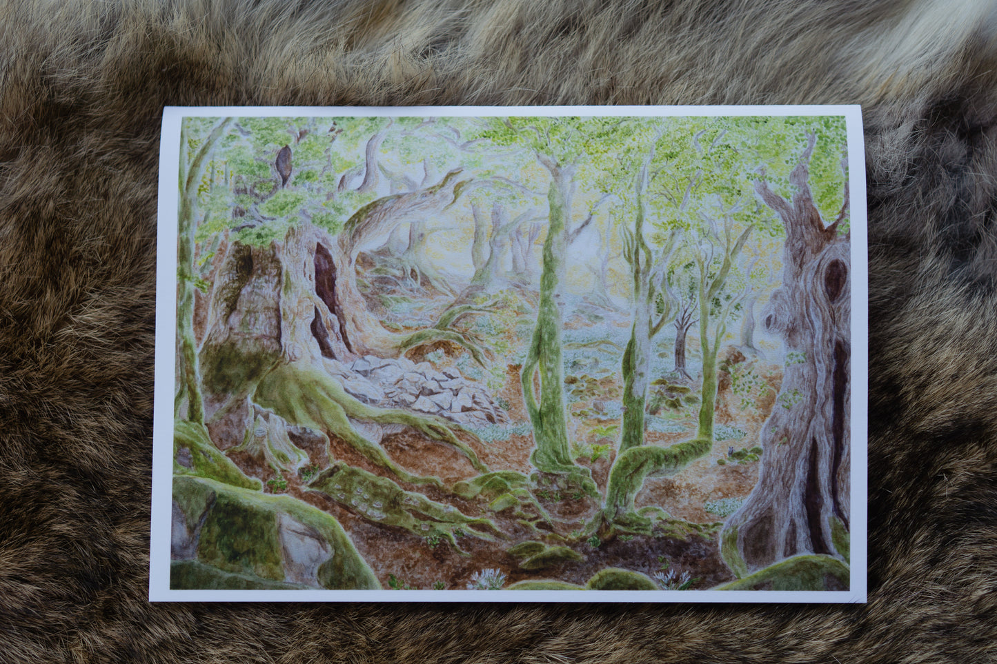 Mountainscapes - Greeting card set of 6