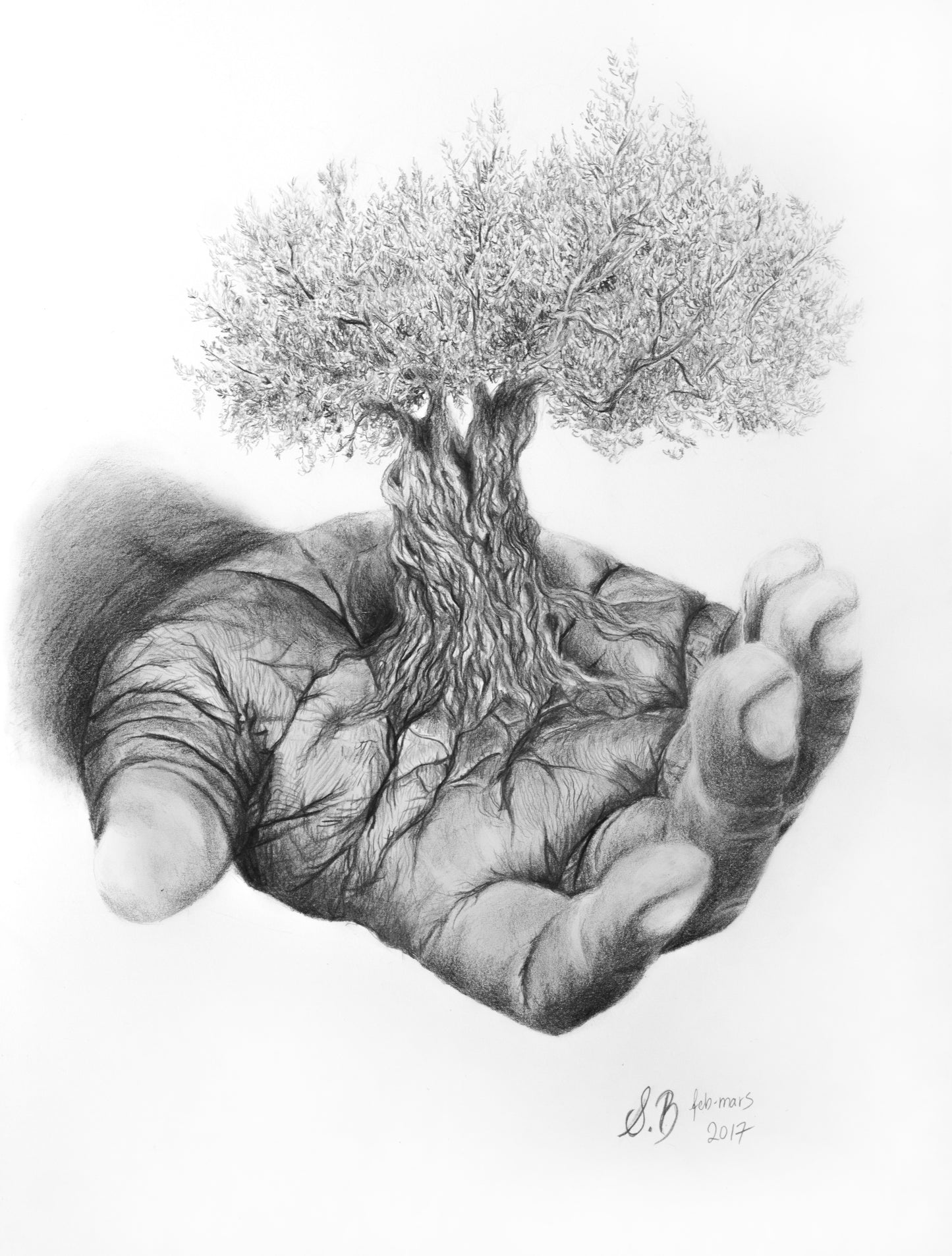 Life - Fine Art Print