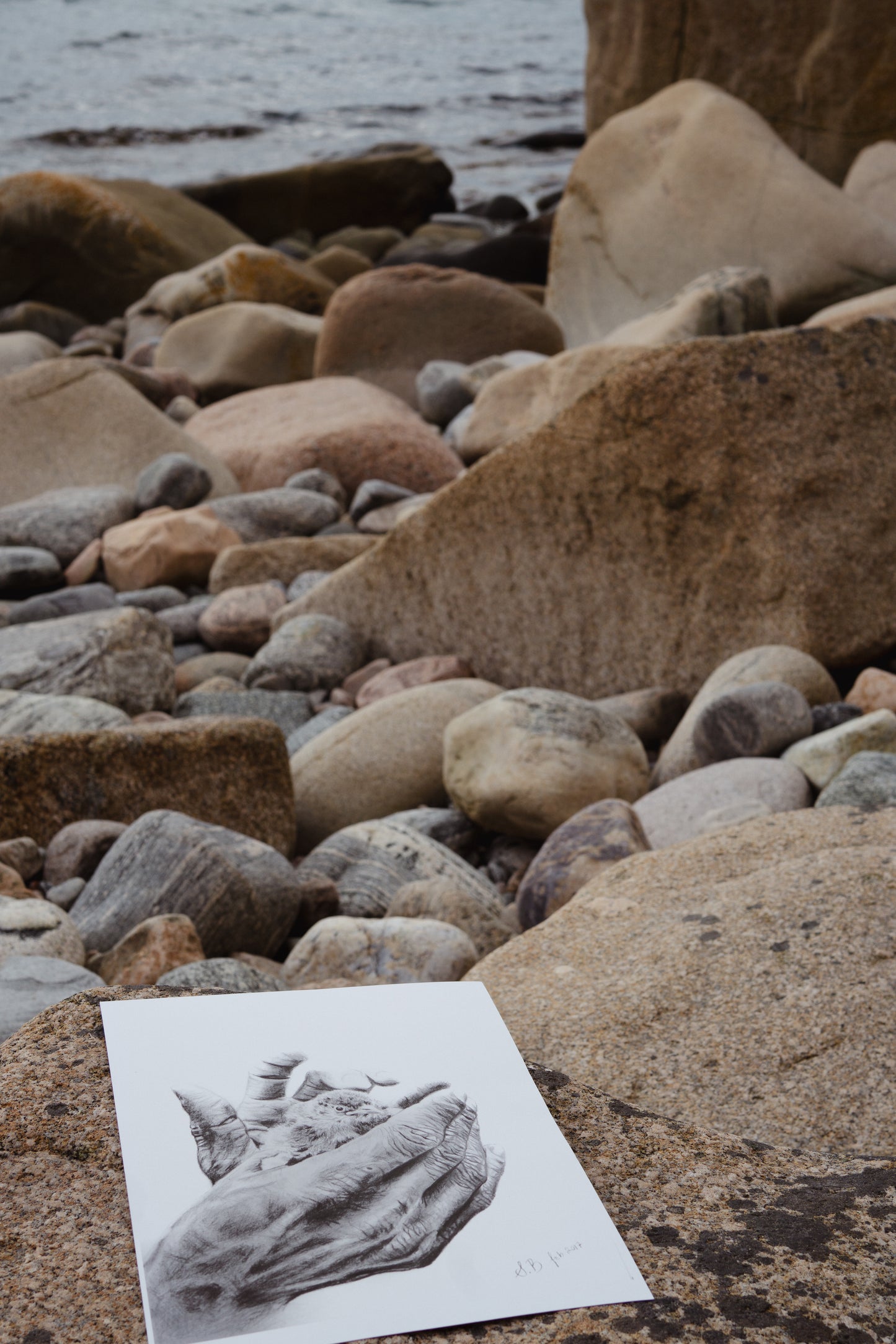 The nurturer - Fine Art Print