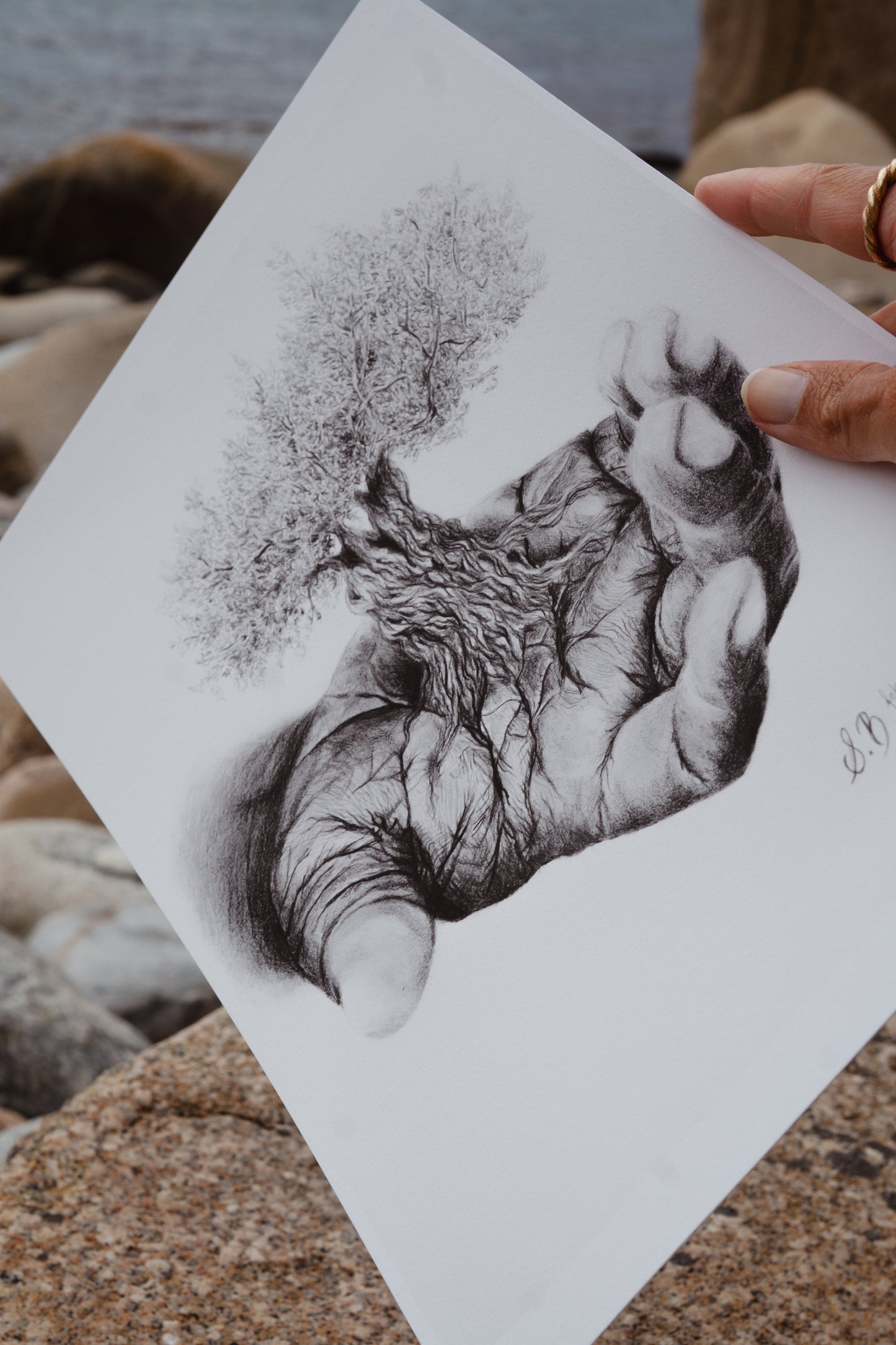 Life - Fine Art Print