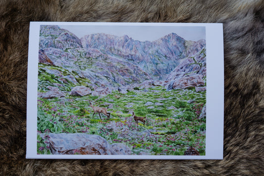 Serenity in Mercantour - Greeting card