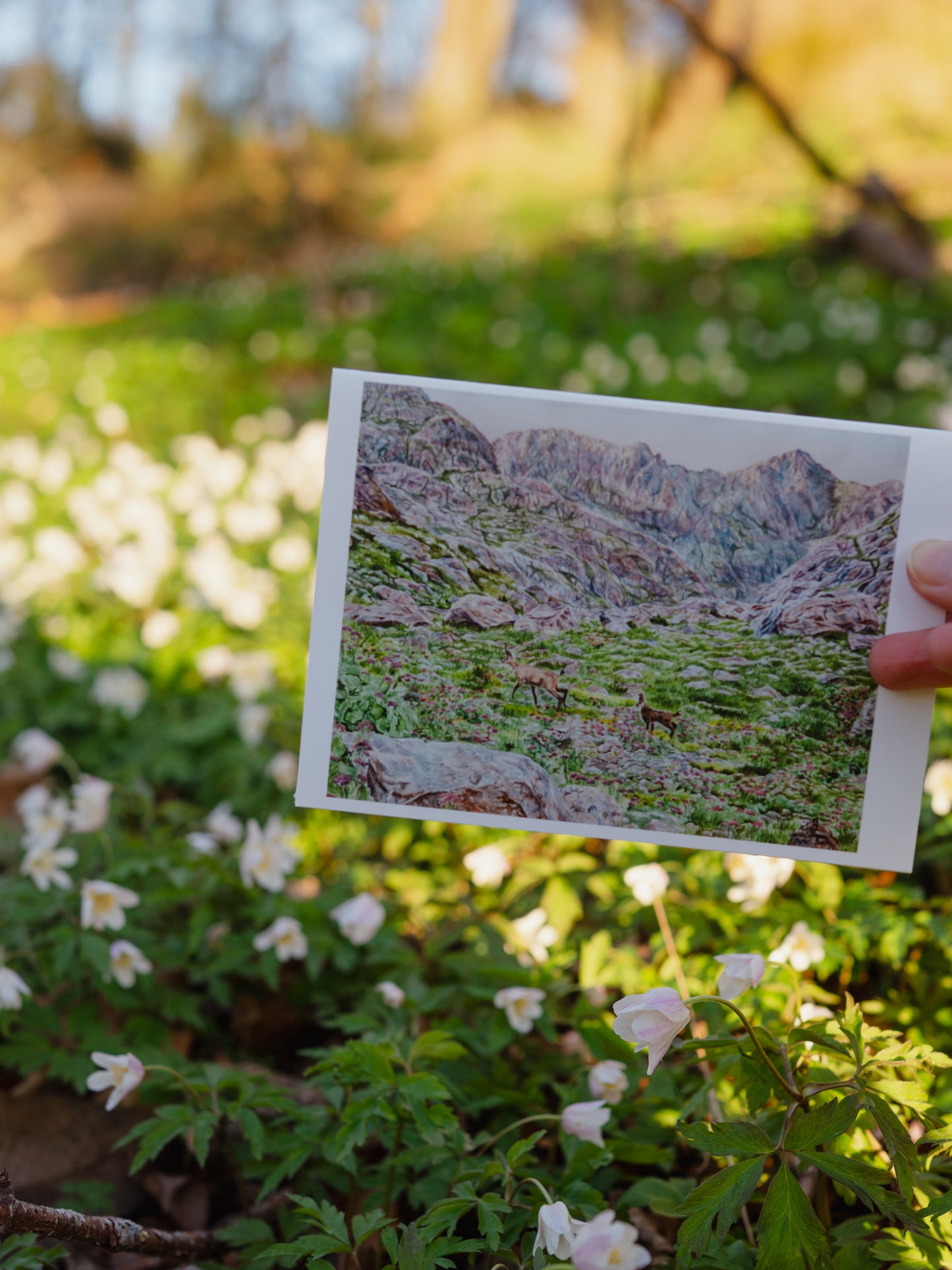 Serenity in Mercantour - Greeting card